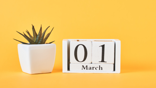 Producing Financial Reports by Date or Week with Acumatica and MYOB Advanced