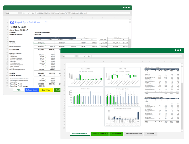 Financial report templates